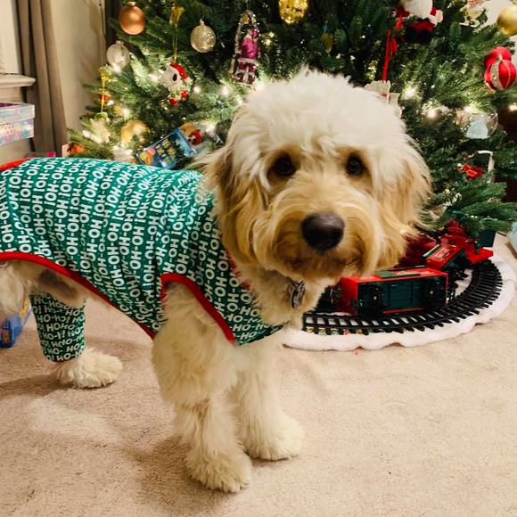 Meet your Posher, Sora - Picture 1 of 1